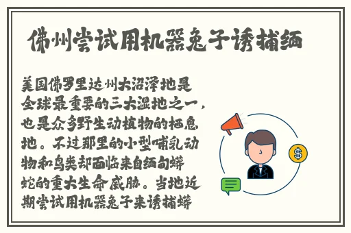 丝瓜秋葵草莓榴莲香蕉