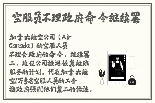 葫芦娃HULUWA官网在线观看